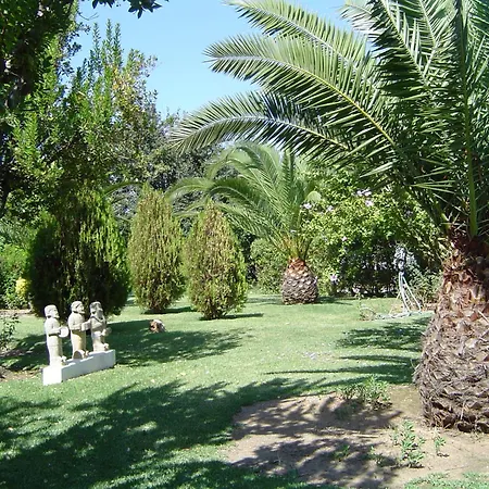 Quinta Dos Oliveiras-3